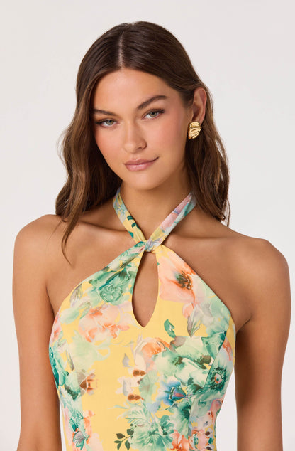 Bethina Floral Halter High-Low Dress