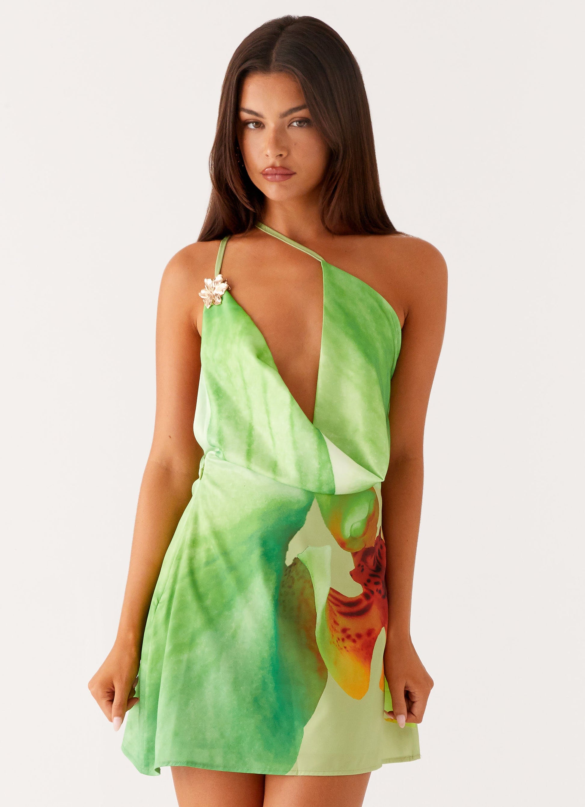 Aiva Mini Dress - Green Floral